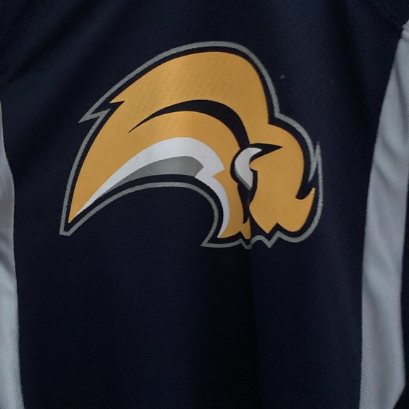 2000’s Buffalo Sabres “Buffaslug” Ryan Miller 3rd Jersey ( Screen Printed Logo ) - Picture 3 of 5